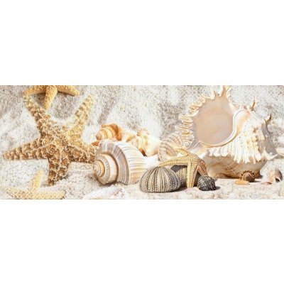 Декор CALIZA BEIGE MARE 3 20,1х50,5 (13 шт) Декор CALIZA BEIGE MARE 3 20,1х50,5 (13 шт)
